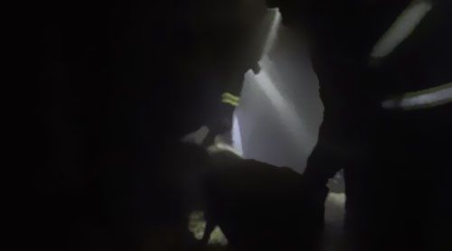 南洋電纜分享要聞：雨天電線短路，小羊險(xiǎn)成“烤全羊”